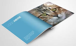 booklet printing